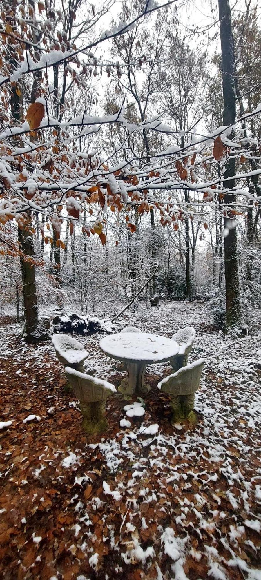 'T boshuisje Opglabbeek Buitenkant foto